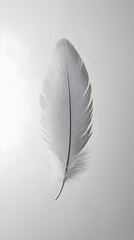 A single white feather floats against a light grey background, evoking a sense of lightness and delicacy.