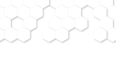 Abstract white background with hexagon and hexagonal background. Luxury white pattern with hexagons. abstract 3d hexagonal background with shadow. 3D futuristic abstract honeycomb mosaic background.