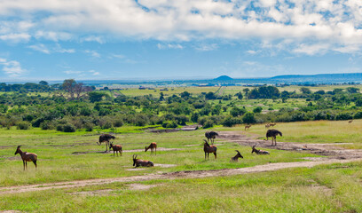 Kenya is a country in East Africa with a coastline on the Indian Ocean.