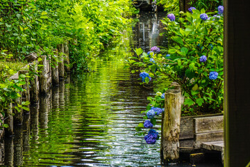 Spreewald 