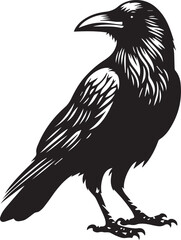 Black Crow Bird Silhouette isolated on a white background Minimalist crow vector illustration