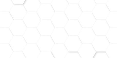 Abstract white background with hexagon and hexagonal background. Luxury white pattern with hexagons. abstract 3d hexagonal background with shadow. 3D futuristic abstract honeycomb mosaic background.