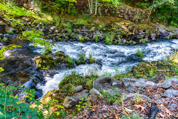 Deschutes River Rapids 3