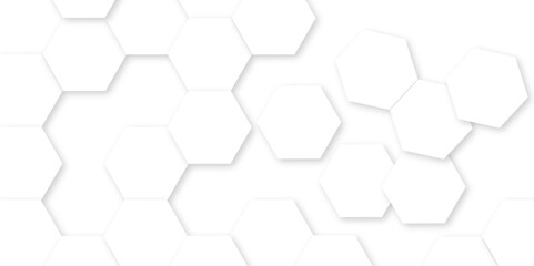 Abstract white background with hexagon and hexagonal background. Luxury white pattern with hexagons. abstract 3d hexagonal background with shadow. 3D futuristic abstract honeycomb mosaic background.