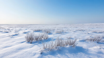 A vast snow-covered tundra stretching to the horizon, with low shrubs and frozen ground under a clear, cold sky