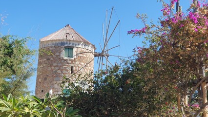Kos town Greece blue sky holidays vacation Windmill stone wind power Mediterranean sea plants bougainvillea plants 
