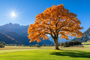 Naklejka premium Beautiful autumn scenery on the lawn covered with leaves at the high mountains, with a single strong, lush tree, and sun rays shining through the branches.