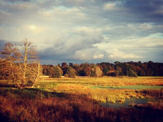 Herbstlandschaft. It B&auml;umen 