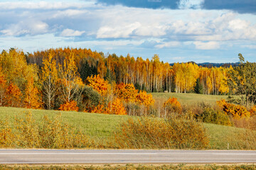 Fototapeta premium A picturesque autumn landscape featuring a vibrant mix of orange, yellow, and green trees stretching across rolling hills. The bright sky with scattered clouds