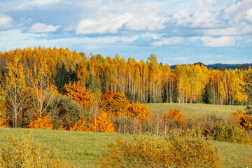 A picturesque autumn landscape featuring a vibrant mix of orange, yellow, and green trees stretching across rolling hills. The bright sky with scattered clouds