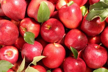Fresh ripe red apples and green leaves as background, top view