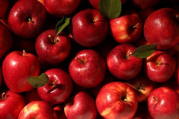 Fresh ripe red apples and green leaves as background, top view