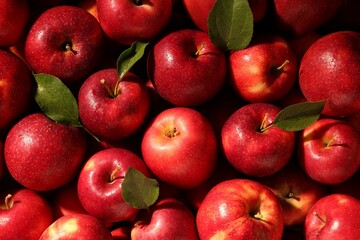Fresh ripe red apples and green leaves as background, top view