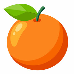 illustration of an orange fruit