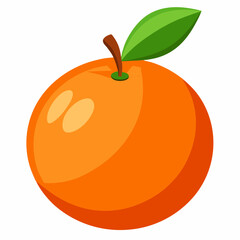 orange fruit vector illustration