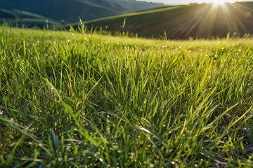 Obraz premium Realistic outdoor green grass ground field mountain hill public park and cloud and blue sky background with blur background in concept of freshness, growth, environment ecology and sustainablility