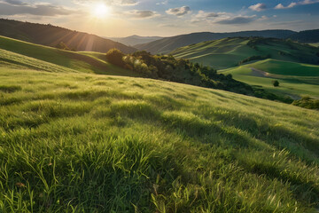 Obraz premium Realistic outdoor green grass ground field mountain hill public park and cloud and blue sky background with blur background in concept of freshness, growth, environment ecology and sustainablility