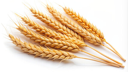 A collection of golden wheat stalks is elegantly arranged, highlighting the natural beauty of the harvest. The vibrant color signifies abundance and prosperity