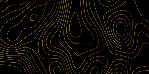Abstract wave paper curved reliefs background .gradient multicolor wave curve lines banner background design .topographic contours map background .Vector geographic contour map.	