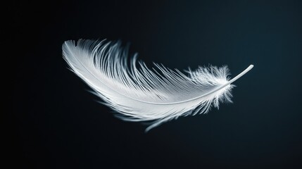 Soft white feather drifting in mid-air against a rich black background, emphasizing its ethereal quality
