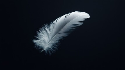 Obraz premium White feather floating in mid-air against a dark black backdrop, capturing its grace and lightness