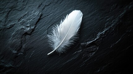 White feather placed on a smooth black surface with gentle illumination, highlighting its delicate structure