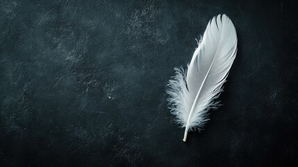 White feather placed on a smooth black surface with gentle illumination, highlighting its delicate structure