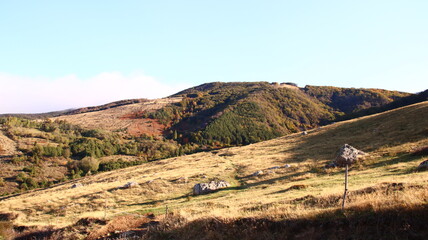autumn landscape in the mountains