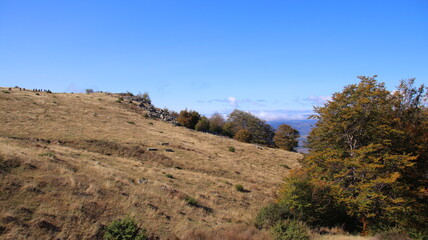 landscape in the mountains
