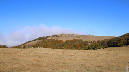 Obraz premium autumn landscape in the mountains