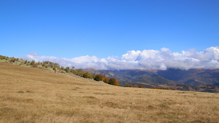 Obraz premium landscape with sky