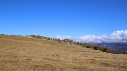 landscape in the mountains
