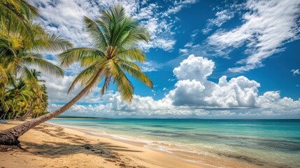 A serene tropical beach scene with palm trees and calm waters under a bright sky.