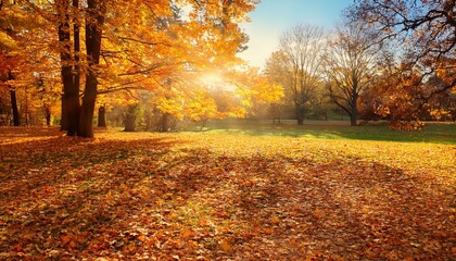 Fototapeta premium beautiful autumn landscape with yellow trees and sun colorful foliage in the park falling leaves natural background