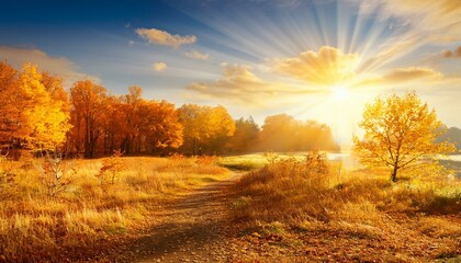 beautiful autumn landscape with yellow trees and sun