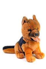 Hund, Plüschtier, vor weißem Hintergrund