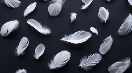 Artistic arrangement of white feathers scattered across a jet-black backdrop, emphasizing their ethereal beauty