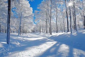 Snowy winter season background 