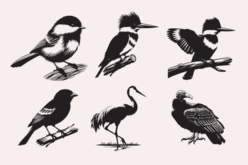 Creative Bird line art Vector Art Illustration