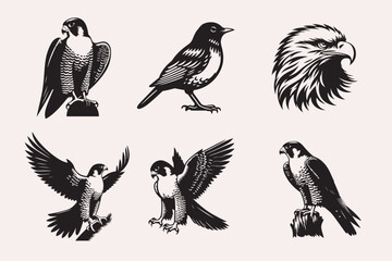 Creative Bird line art Vector Art Illustration