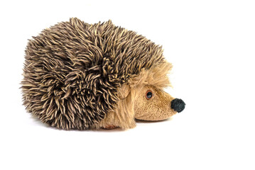 Igel, Plüschtier, vor weißem Hintergrund