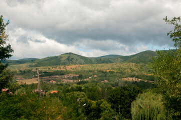 landscape with trees and clouds