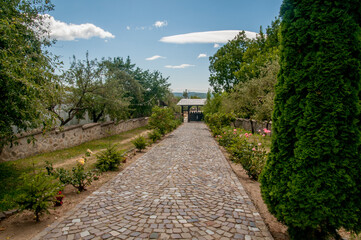 path in the garden
