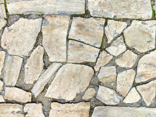 A textured pathway made of variously shaped stones, creating a rustic appearance in a sunlit garden area
