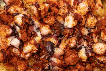 OCTOPUS GALICIAN STYLE WITH OLIVE OIL