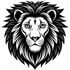 Fototapeta premium head of lion