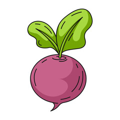 Radish, colorful linear icon. Farm seasonal vegetable, vector outline green veggies, color illustration. Healthy nutrition, organic food, natural product. Symbol for sticker, logo, print