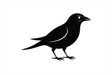Weaver bird silhouette black vector artwork illustration.