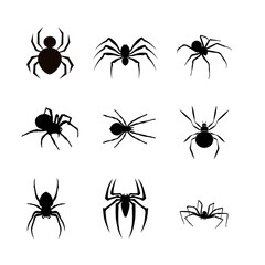 set of spider icons, siluet spider, illustration vector.
