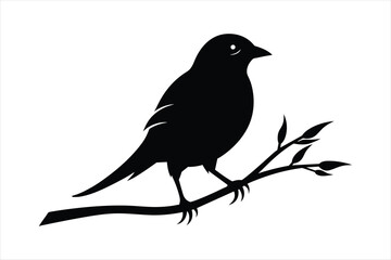  Weaver bird sitting on a branch silhouette black vector art illustration.